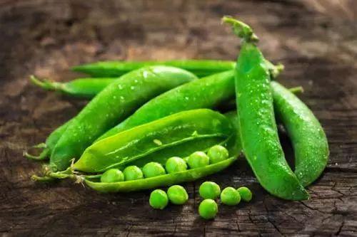 娱乐吃瓜又吃豆,吃瓜吃豆,揭秘娱乐圈幕后故事