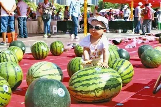 每日大赛吃瓜网入口,揭秘娱乐圈幕后风云,带你畅游八卦海洋